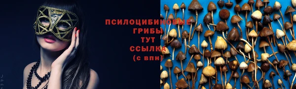 круглые Протвино