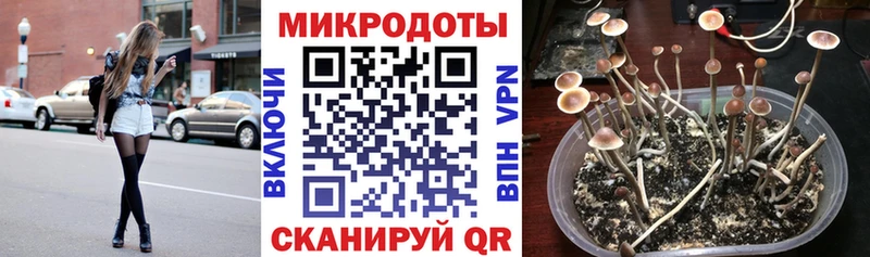 Псилоцибиновые грибы мухоморы даркнет формула Багратионовск