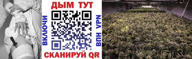 Марихуана Bruce Banner  нарко площадка клад  Багратионовск 